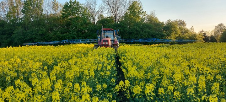 20210520_195704 (1).jpg