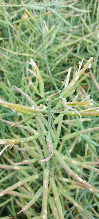 20210708_095216 (1).jpg