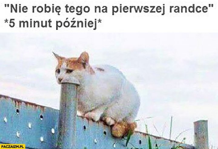 ona-nie-robie-tego-na-pierwszej-randce-5-minut-pozniej-kot-zjada-polyka-rure.jpg