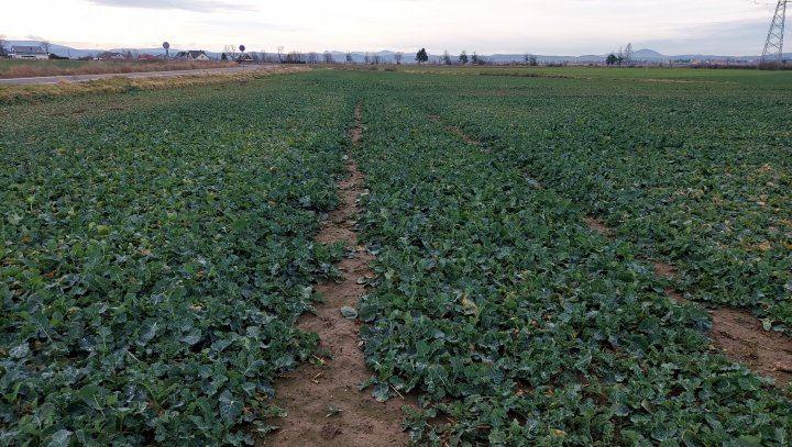 20220102_112844 (1).jpg