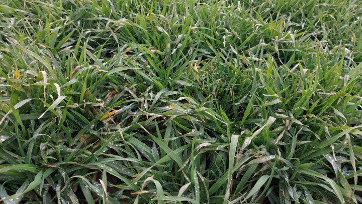 20220102_112339 (2).jpg