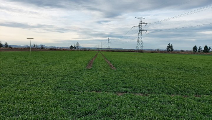 20220102_112415 (1).jpg