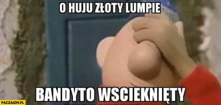 o-huju-zloty-lumpie-bandyto-wsciekiety-opie-bajka-sasiedzi.jpg