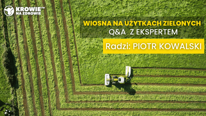 Wiosna na użytkach zielonych_KNZ.png