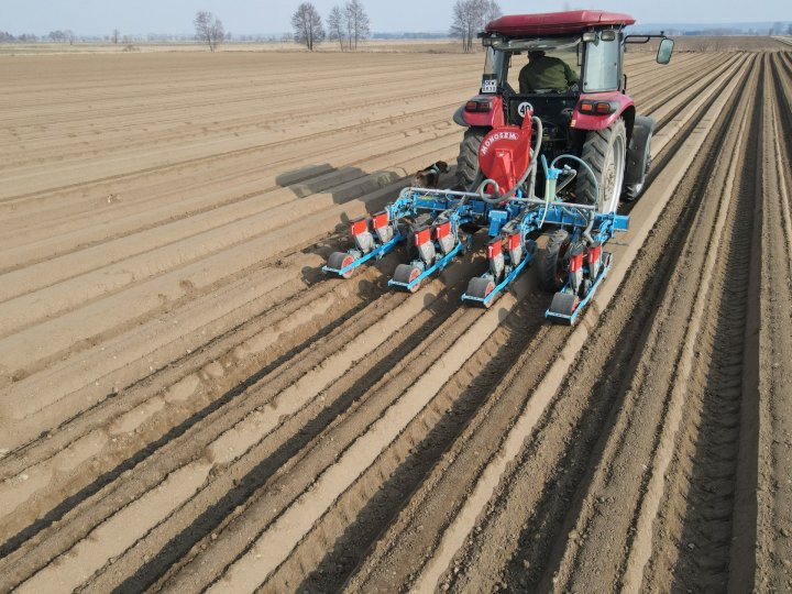 Siew marchwi PROCAM (1).JPG