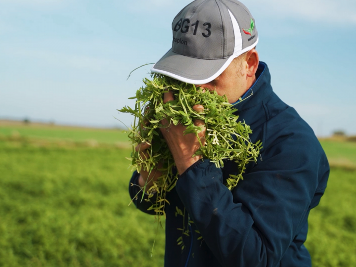 Mieszanka BG 13 Milkway Poplon.png