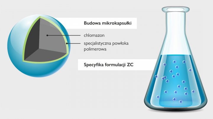 SAP_Tonale_Formulacja_grafika.jpg
