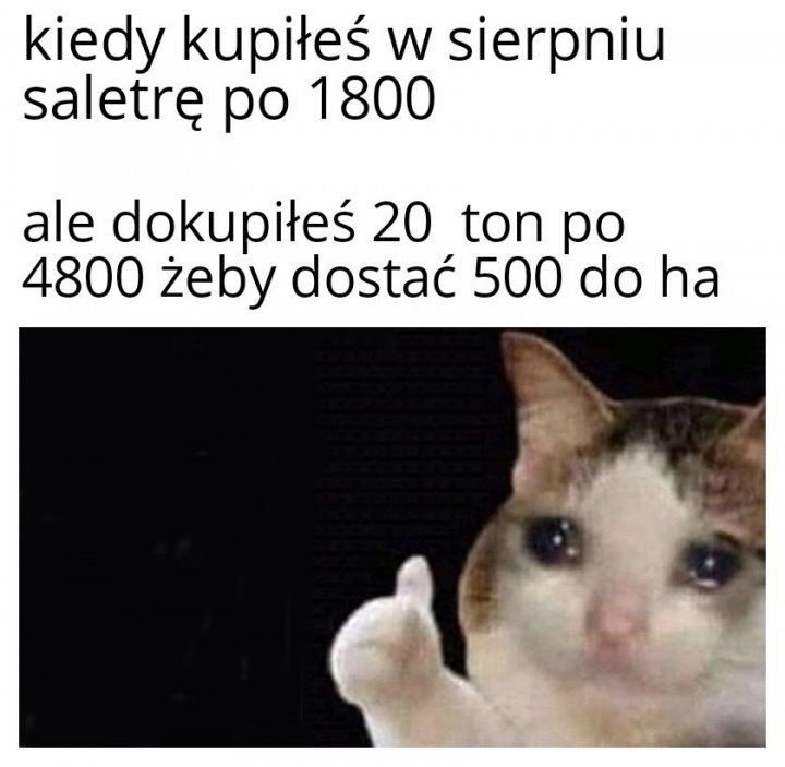 Thumbs Up Crying Cat 25042022211900.jpg