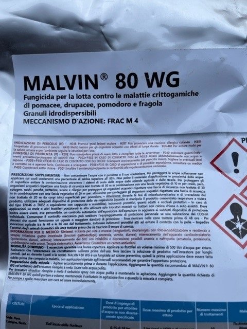 Podrobiony Malvin (3).jpg