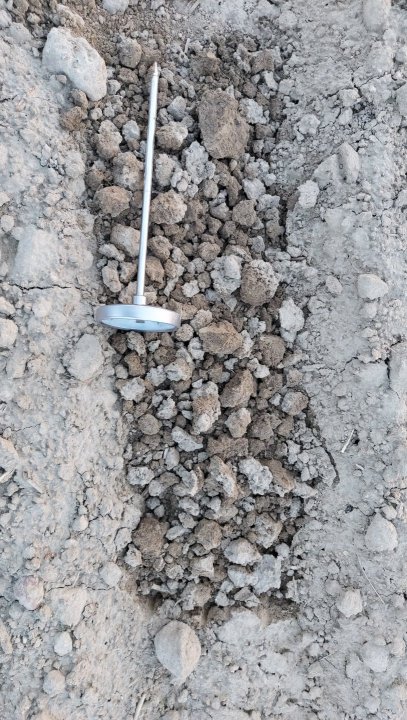 20220502_201101 (1).jpg