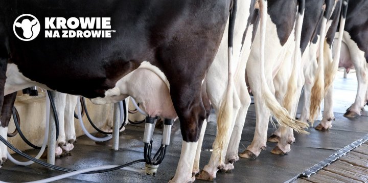 Krowie-na-Zdrowie-czy-oplaca-sie-produkowac-mleko-1.jpg