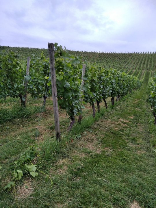 289935923_1118732865385328_6206409707396379606_n (1).jpg