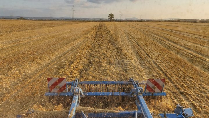 20210720_195612 (1).jpg