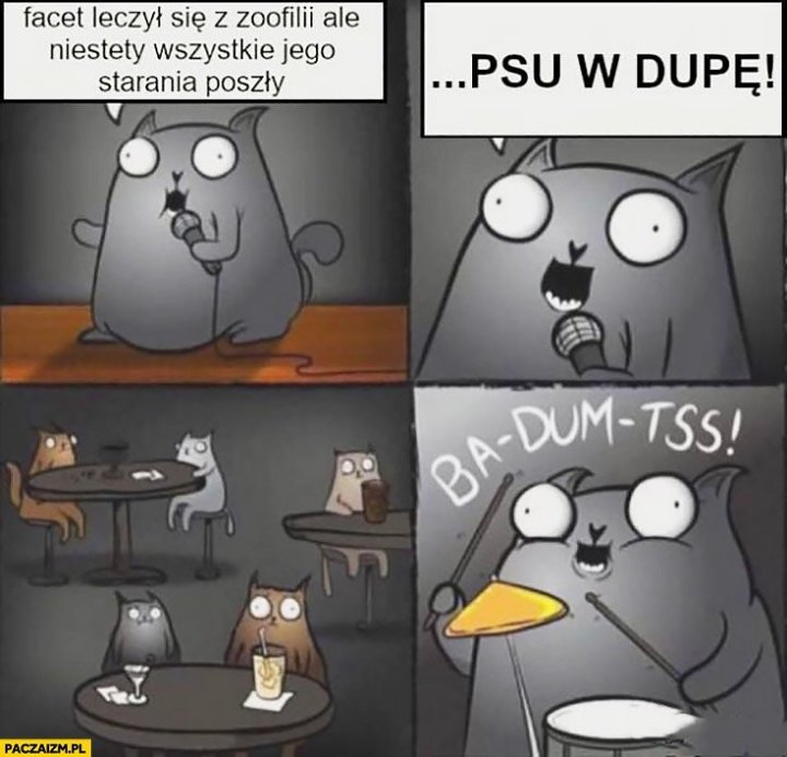 obrazkowo.pl 2022-07-13 19-56-01.jpg