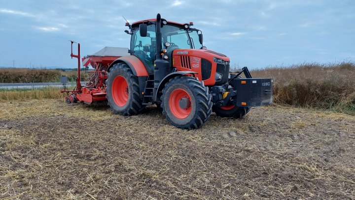 20210721_205008 (2).jpg