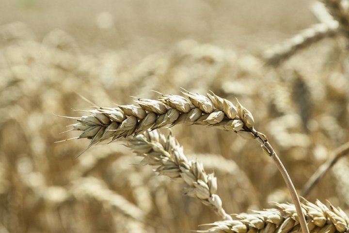 _MG_0170 - Kopia.jpg