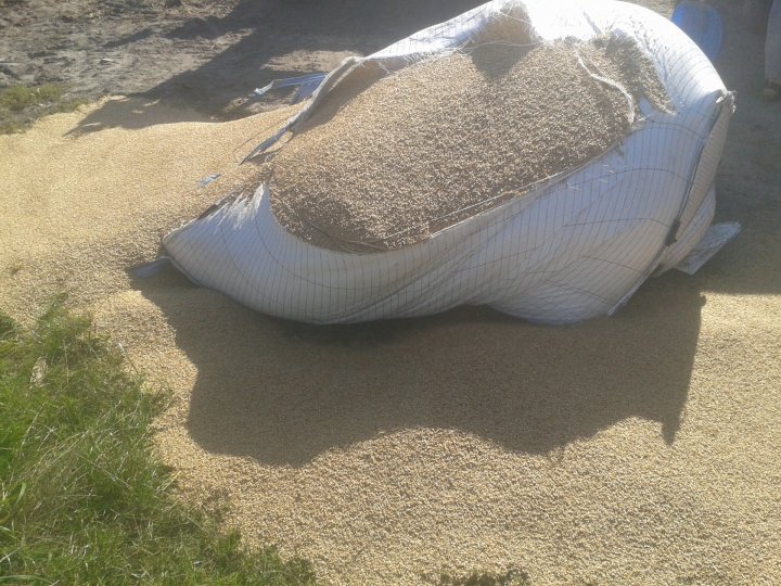 2020-09-14 13.48.03.jpg