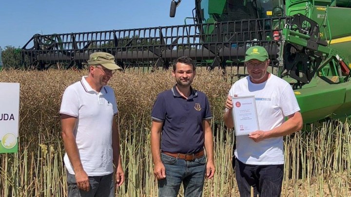 Rekord Polski rzepak.jpg