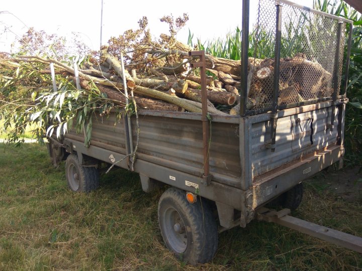 IMG_20220820_163816 — kopia.jpg