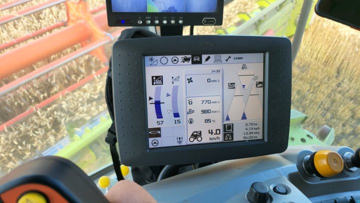 13_34 20220809_143054 Findus.jpg