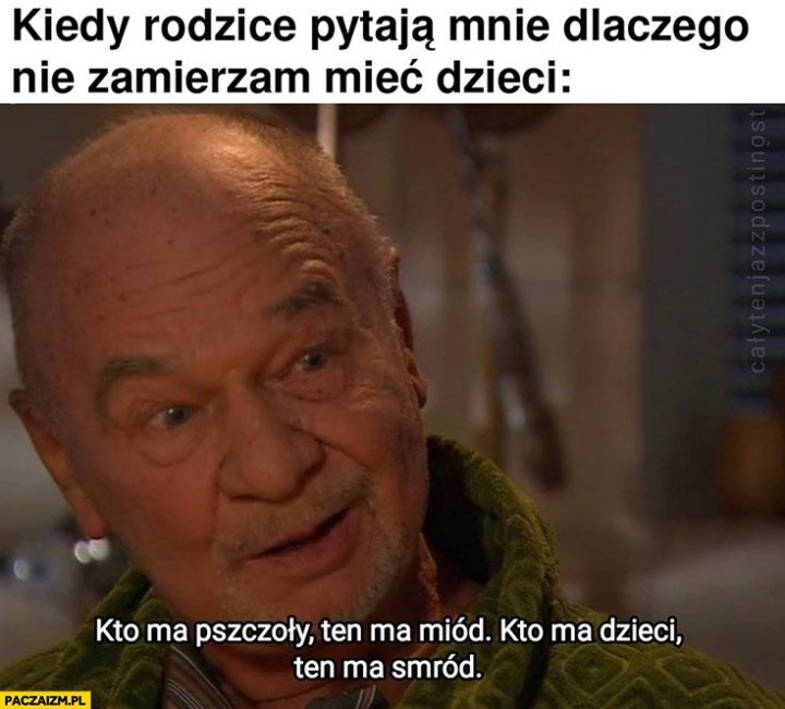 kiedy-rodzice-pytaja-mnie-dlaczego-nie-zamierzam-miec-dzieci-pszczoly-miod-dzieci-smrod-pazdzioch.jpg