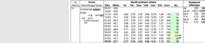 Bez tytułu (3).jpg