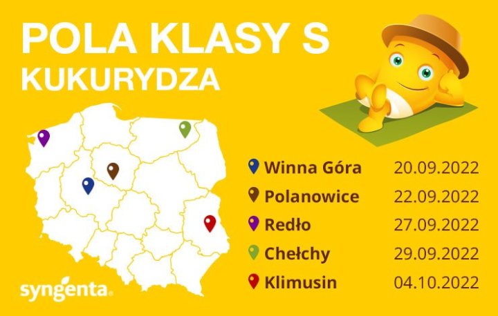 Pola Klasy S Kukurydza_Syngenta.jpg