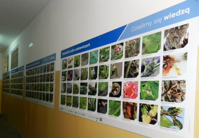 Corteva-Dzielimy-sie-wiedza-2022-1.jpg