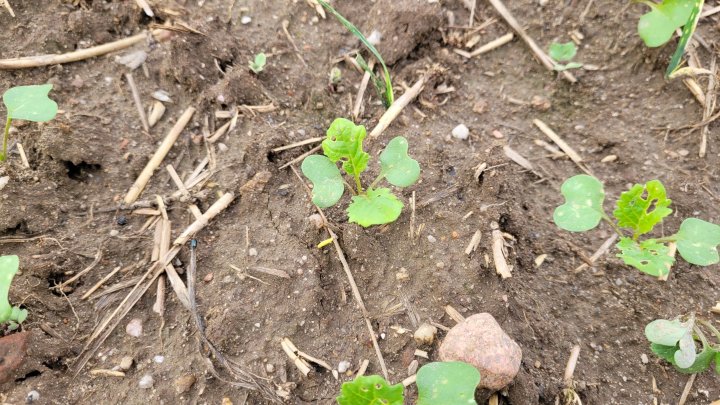 20220913_112615 (1).jpg