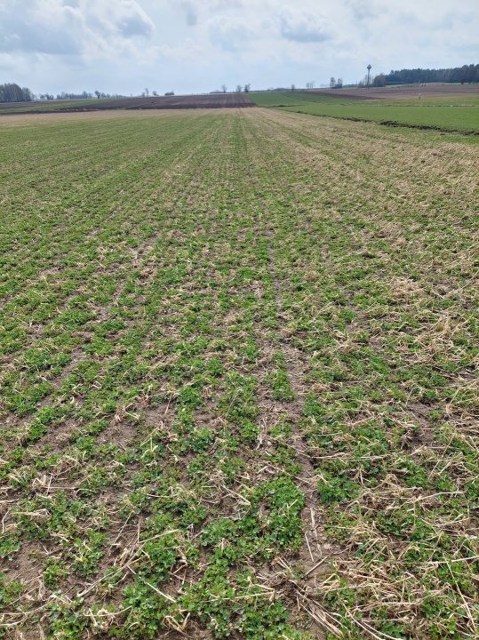 278408323_1327373491094787_6738485139781374279_n (1).jpg