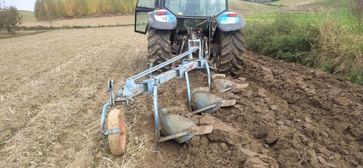 1666634326143 (1).jpg