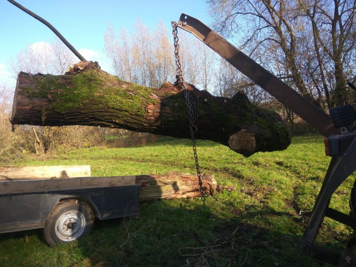 IMG_20221031_113759 — kopia.jpg