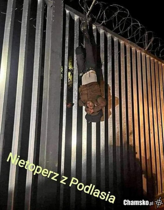 obrazkowo.pl 2022-10-07 19-00-41.jpg