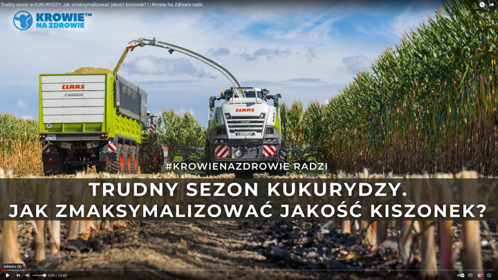 Trudny-sezon-kukurydzy-jak-wycisnac-maksimum-z-kukurydzy-radzi-Corteva-K....png