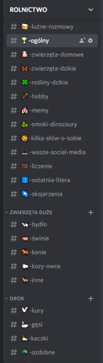 discord.png