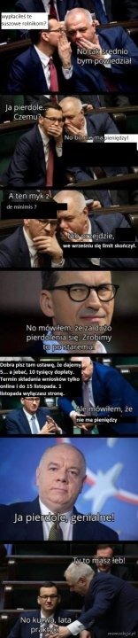 pis_w_pigułce.jpg