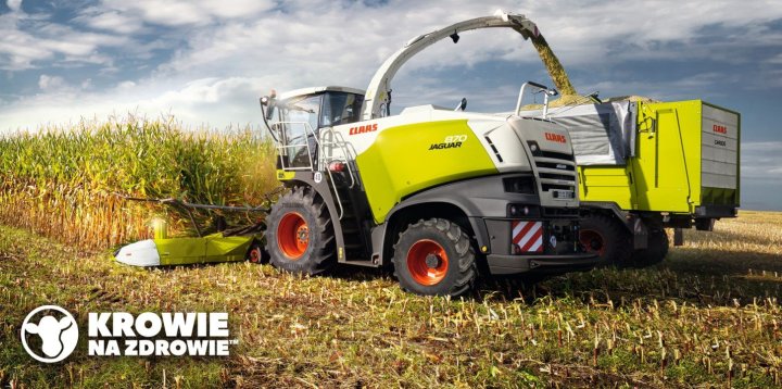 Fot_ Długie cięcie kiszonki z kukurydzy.jpg