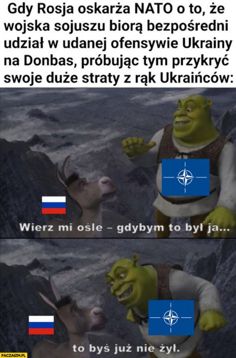 gdy-rosja-oskarza-nato-o-wsparcie-ukrainy-shrek-wierz-mi-osle-gdybym-to-byl-ja-to-bys-juz-nie-zyl.jpg