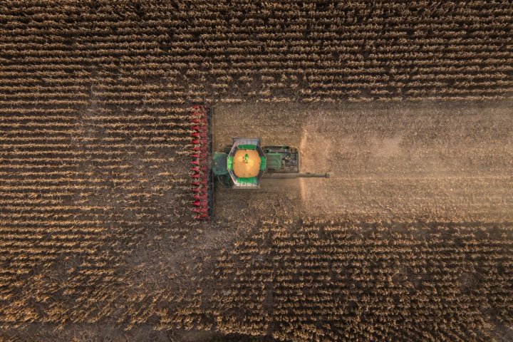 fot16_Krol_wydajnosci_w_kukurydzy_Jakie_byly_efekty (1).jpg