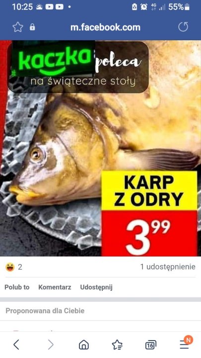 Screenshot_20221213-102537_Samsung Internet.jpg