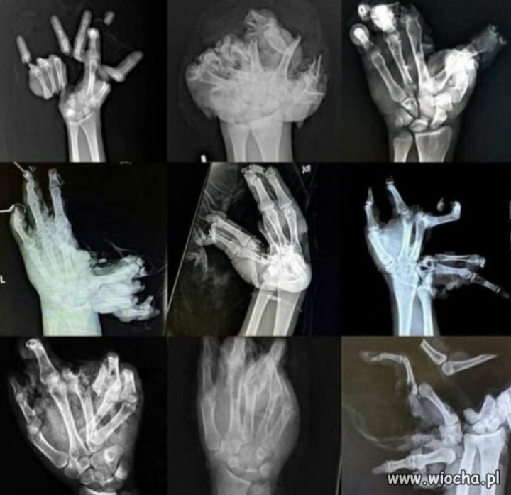 obrazkowo.pl 2022-12-31 08-09-34.jpg