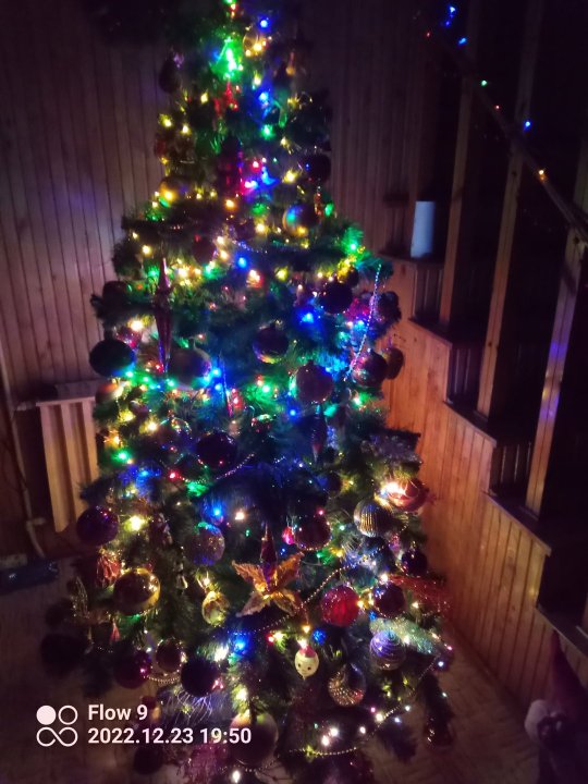 IMG_20221223_195013_687.jpg