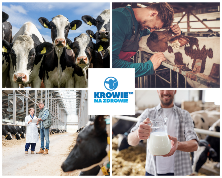 Nowe-gospodarstwo-pokazowe-Krowie-na-Zdrowie-Brzysko-Rol.png