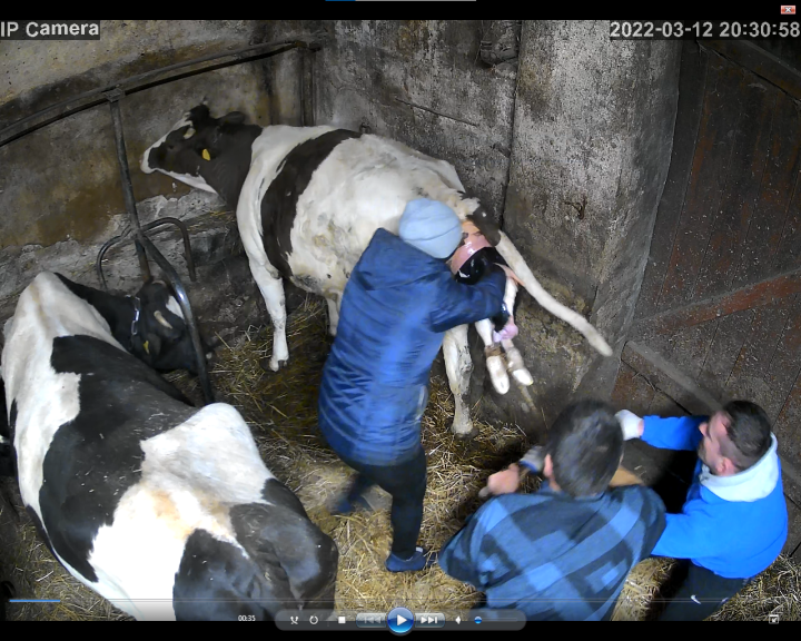 Zrzut ekranu 2023-01-14 222255.png