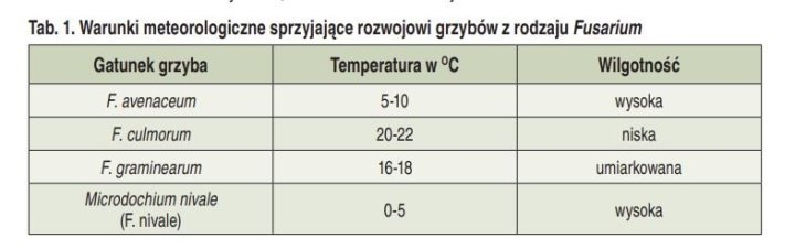 Warunki do rozwoju szczepów fusarium.JPG