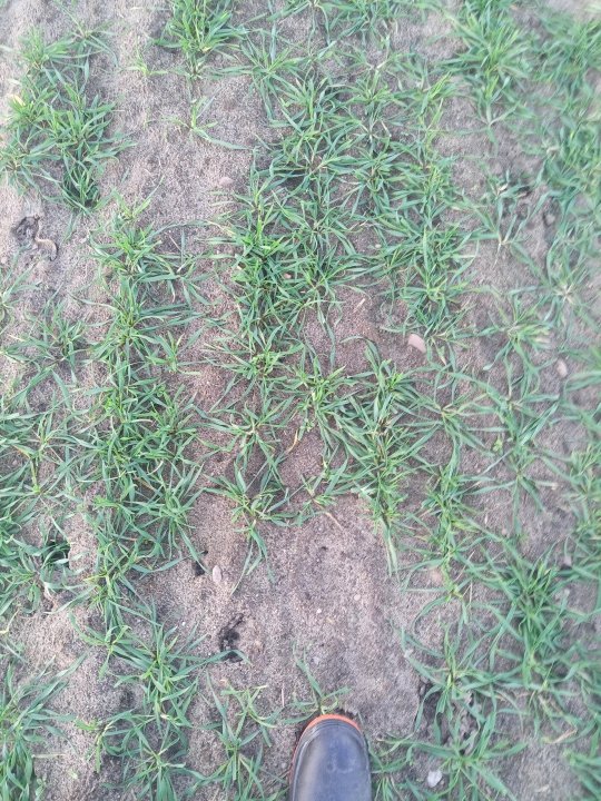 IMG_20230103_150537_738 (2).jpg