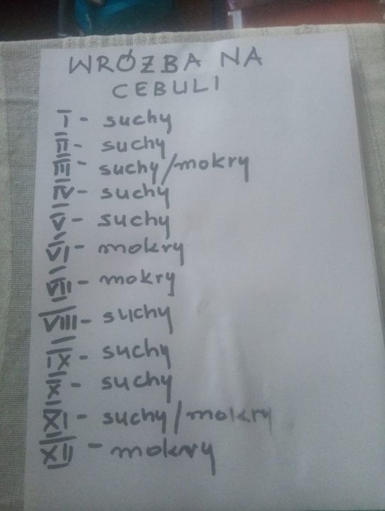 wróżby na cebuli.jpg