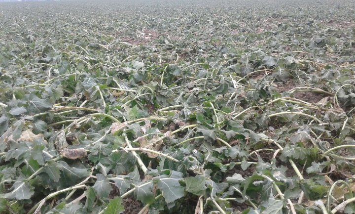 330107673_1653974381777703_59471573239745630_n (1).jpg