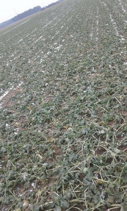 330157632_969751884014599_8364182259089238512_n (1).jpg