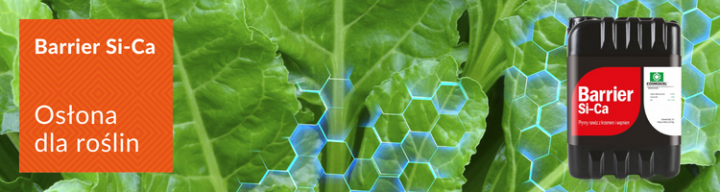 agrofoto.pl - baner.png